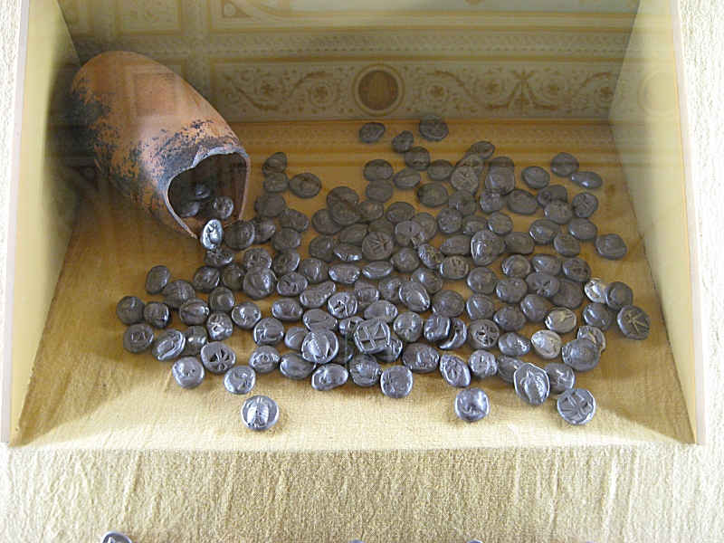 tartarughe.jpg