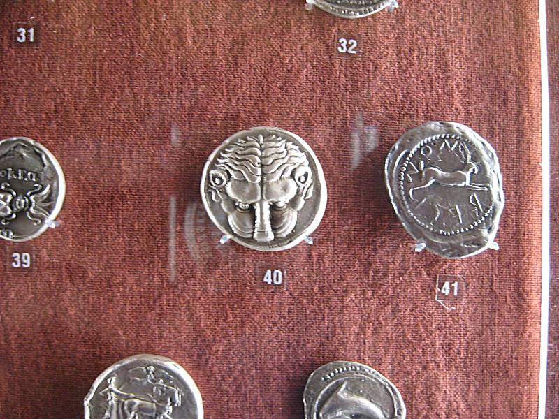 teca10.jpg