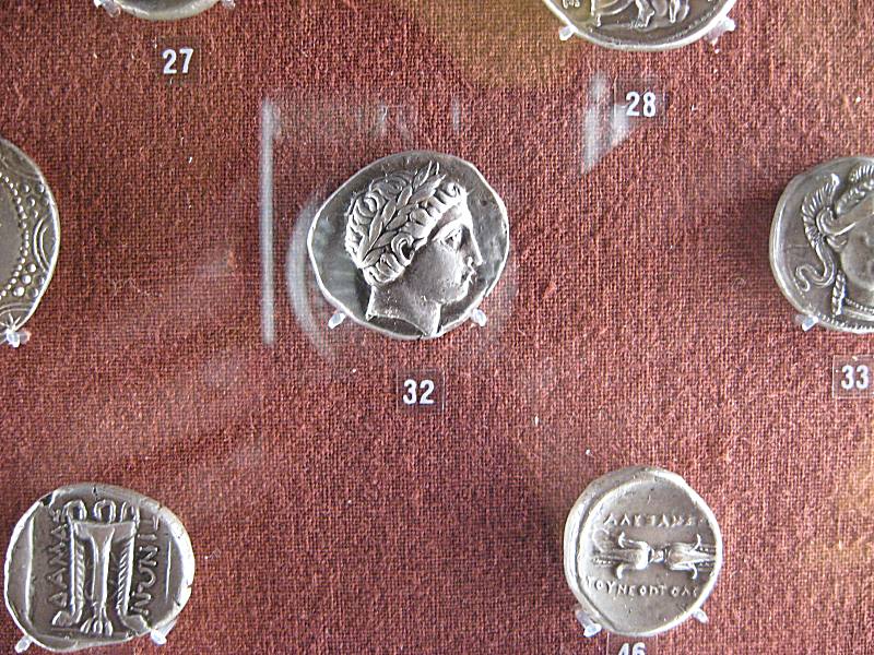 teca11.jpg