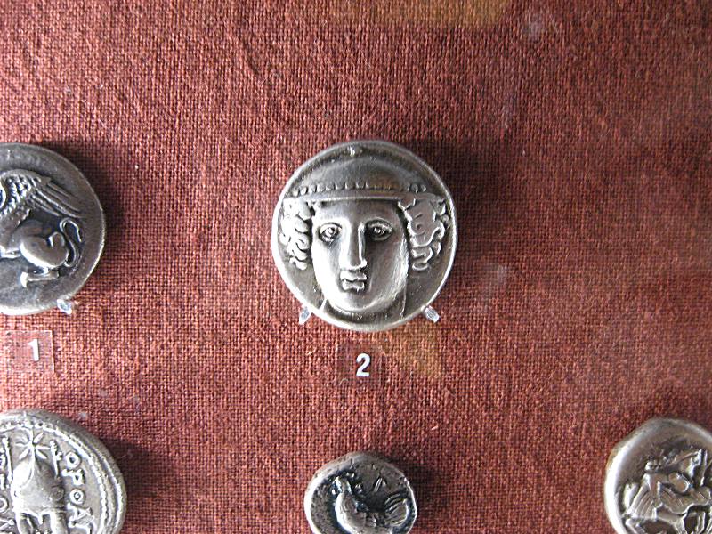 teca12.jpg
