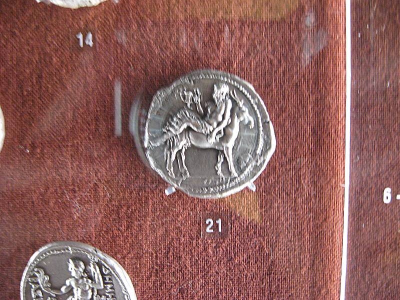 teca13.jpg