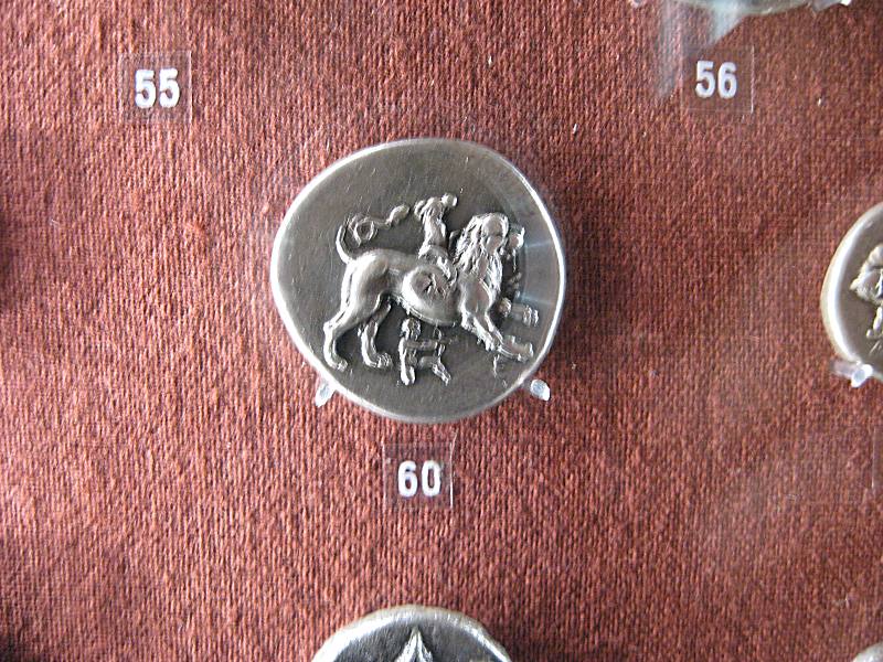 teca14.jpg