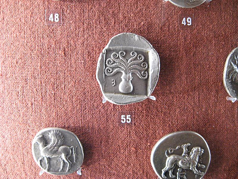 teca15.jpg