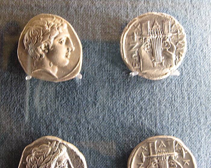 teca4.jpg