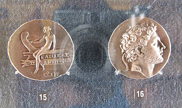 teca5.jpg