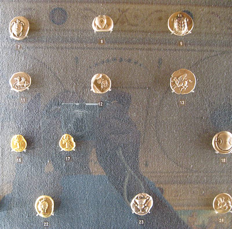 teca7.jpg