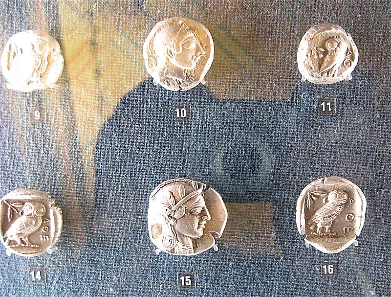 teca8.jpg